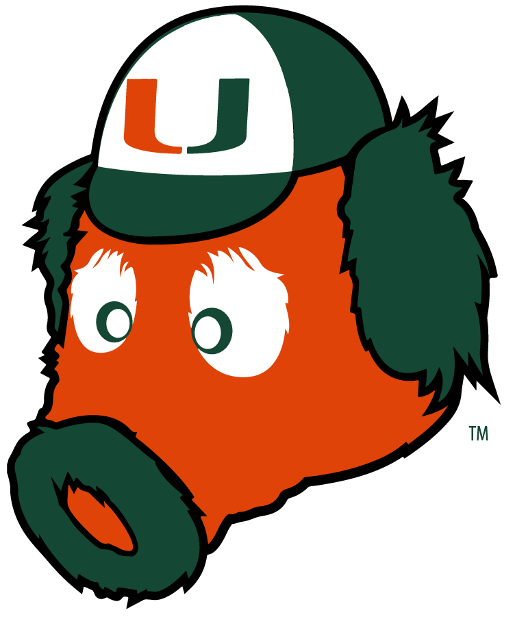 Miami Hurricanes 2016-2024 Mascot Logo diy iron on heat transfer